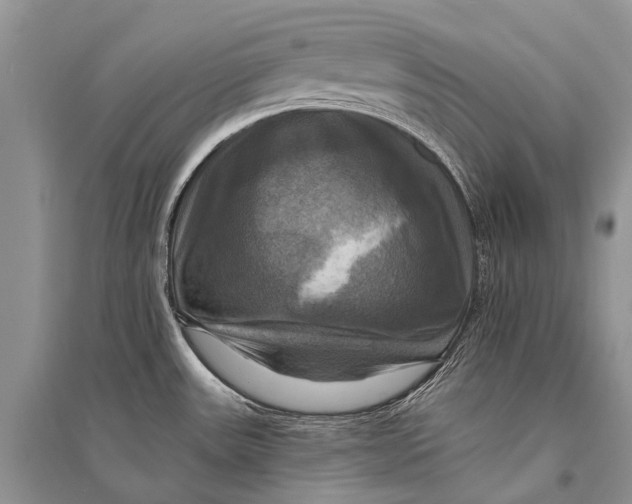 X0000094901531200712201122