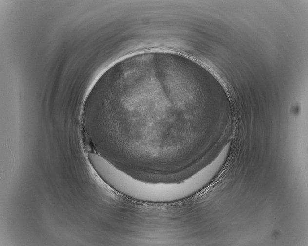 X0000094901532200712201122