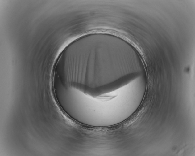 X0000094901533200712201122