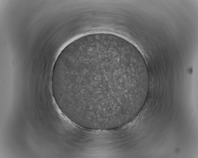 X0000094901534200712201122