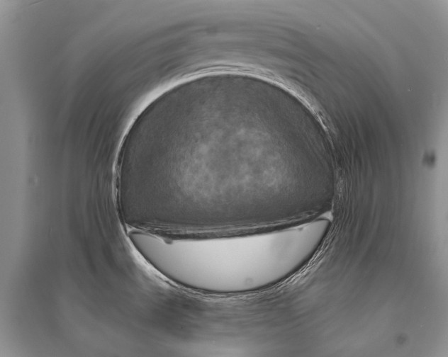 X0000094901535200712201122