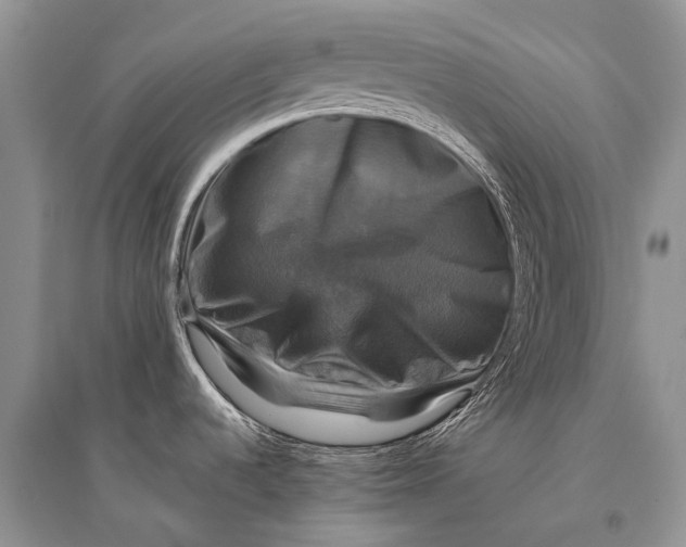 X0000094901536200712201122