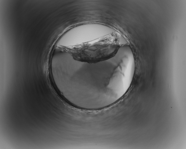 X0000094900002200712271501