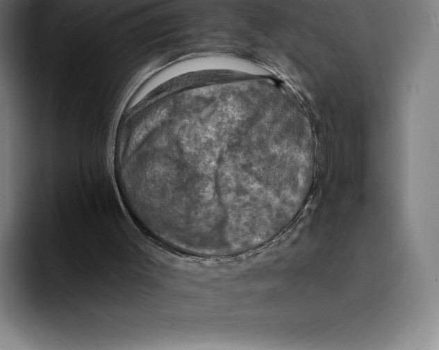 X0000094900003200712271501