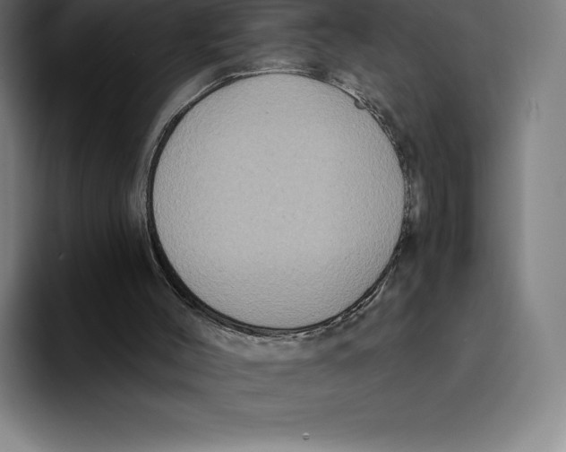 X0000094900004200712271501