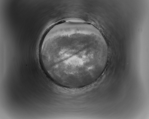 X0000094900006200712271501
