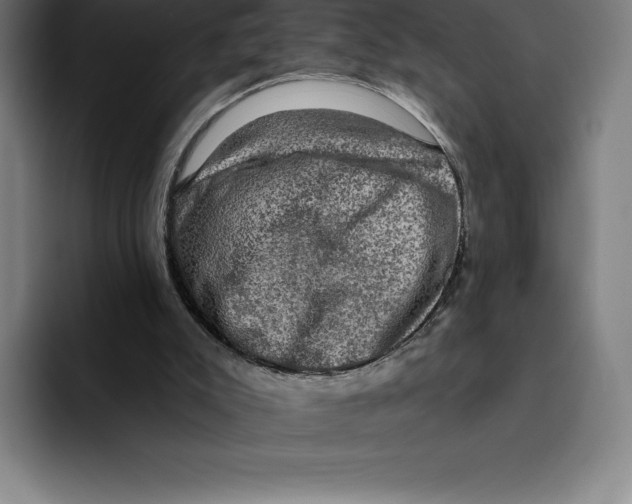 X0000094900007200712271501
