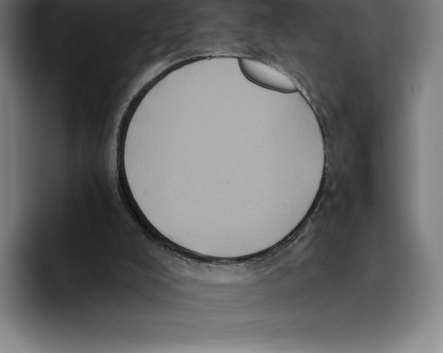 X0000094900008200712271501