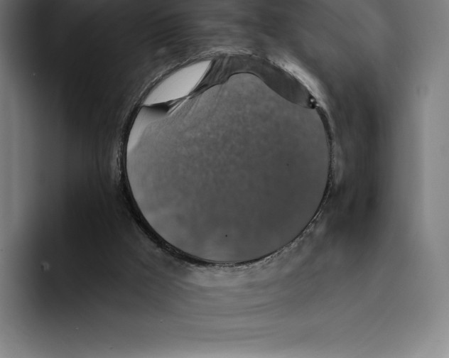 X0000094900009200712271501