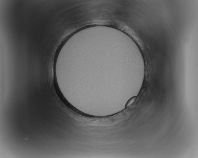 X0000094900011200712271501