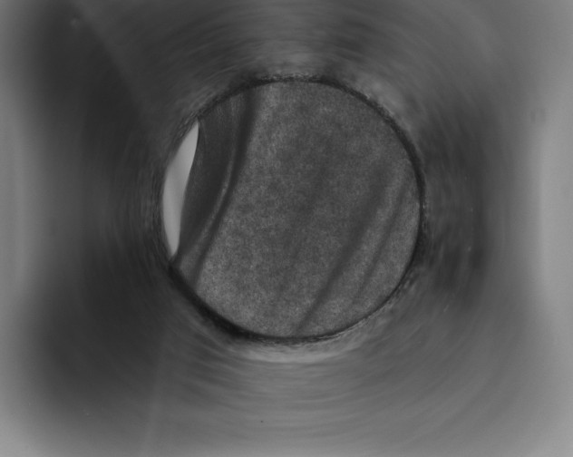 X0000094900017200712271501