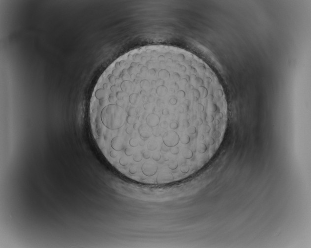 X0000094900018200712271501