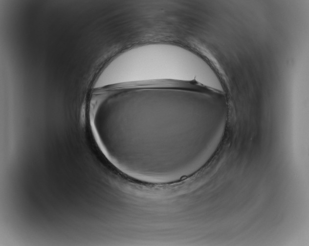 X0000094900019200712271501