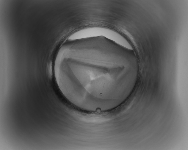 X0000094900020200712271501