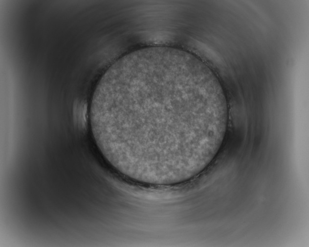 X0000094900024200712271501