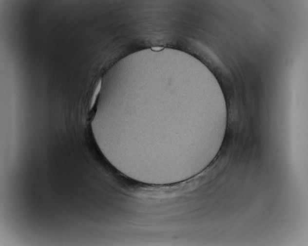 X0000094900025200712271501