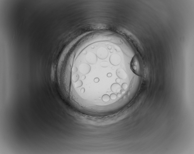 X0000094900026200712271501