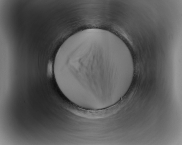 X0000094900027200712271501