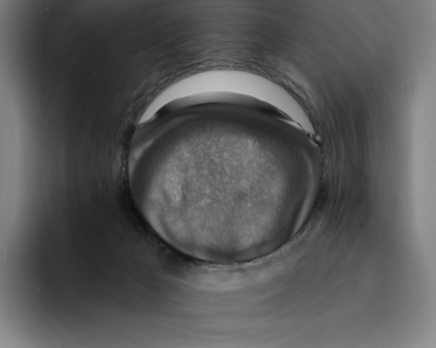 X0000094900029200712271501