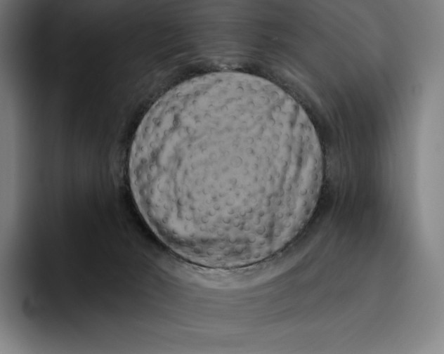 X0000094900030200712271501