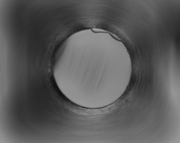 X0000094900031200712271501