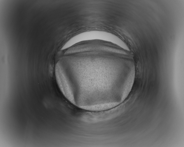 X0000094900033200712271501