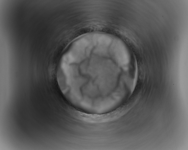 X0000094900034200712271501
