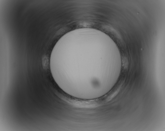 X0000094900036200712271501