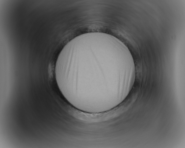 X0000094900038200712271501