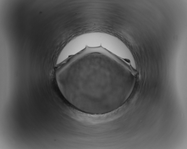 X0000094900039200712271501