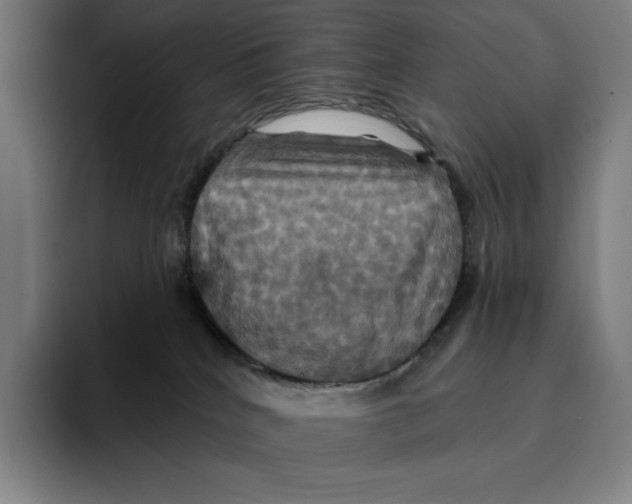 X0000094900040200712271501