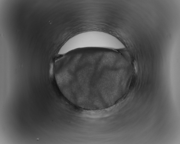 X0000094900041200712271501
