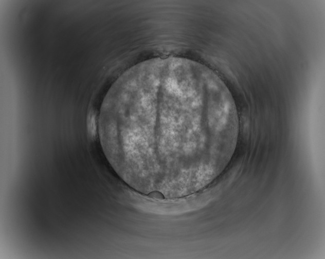 X0000094900042200712271501