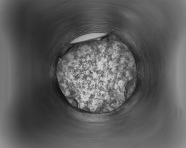 X0000094900044200712271501