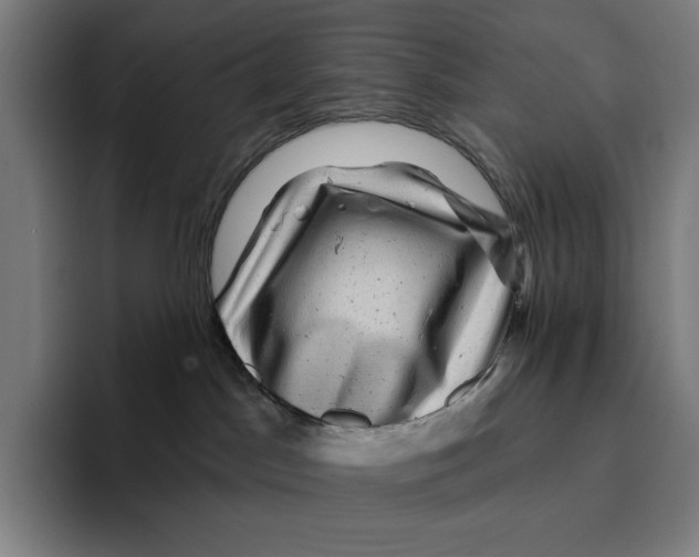 X0000094900045200712271501