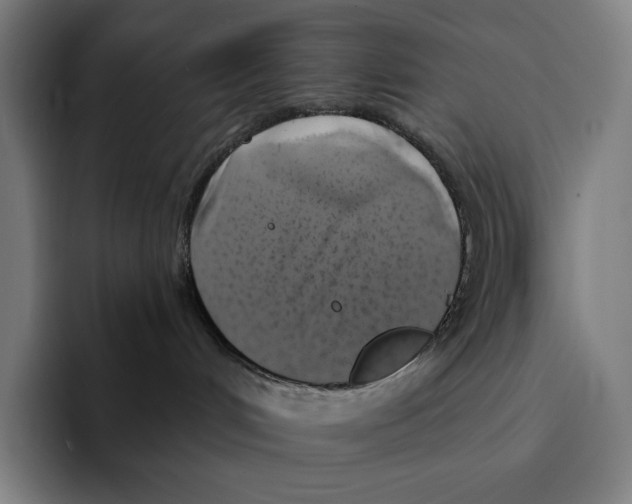 X0000094900048200712271501