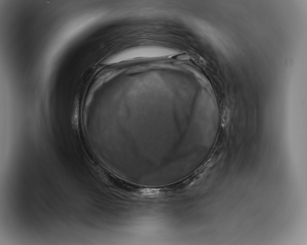 X0000094900052200712271500