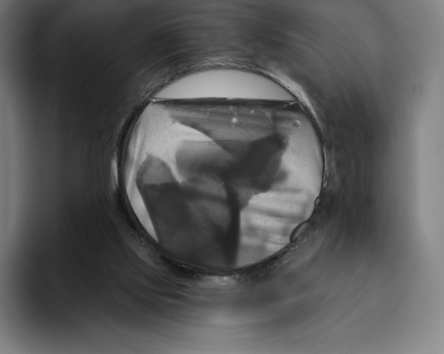 X0000094900061200712271500