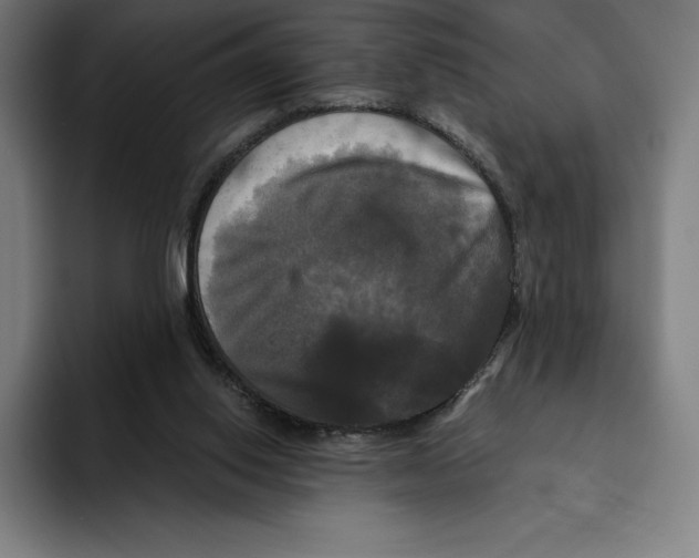 X0000094900062200712271500