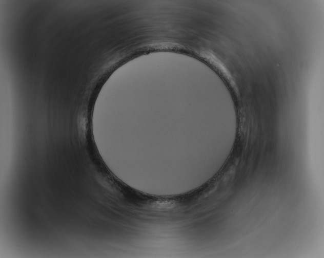 X0000094900063200712271500