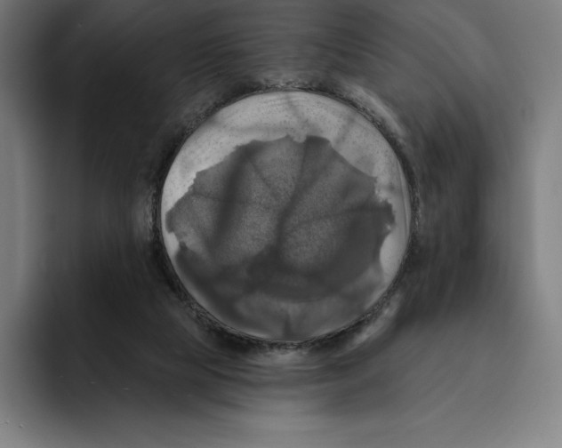 X0000094900065200712271500