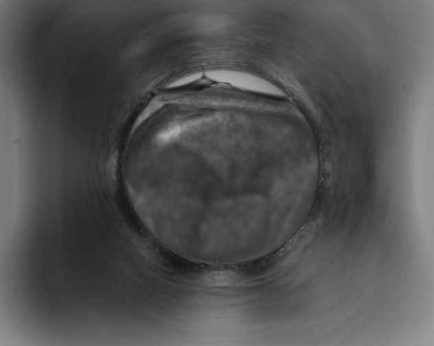 X0000094900066200712271500