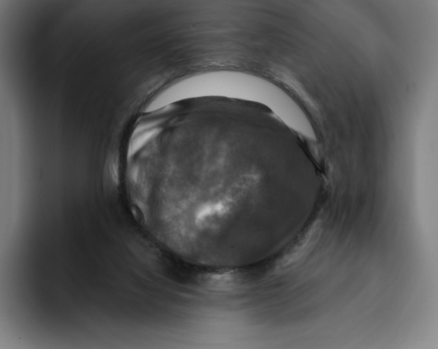 X0000094900068200712271500