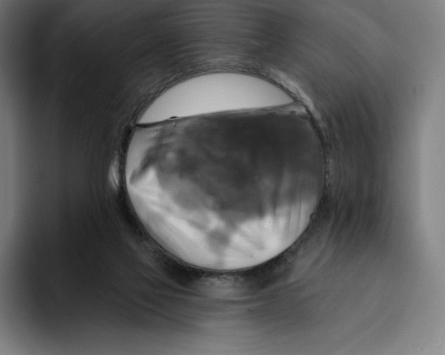 X0000094900069200712271501