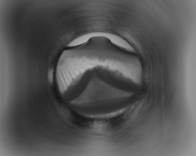 X0000094900070200712271501