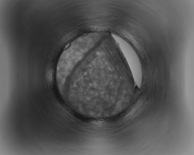 X0000094900071200712271501