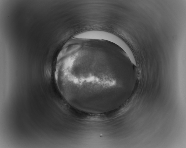 X0000094900072200712271501