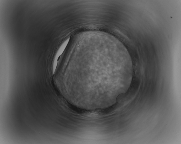 X0000094900075200712271501