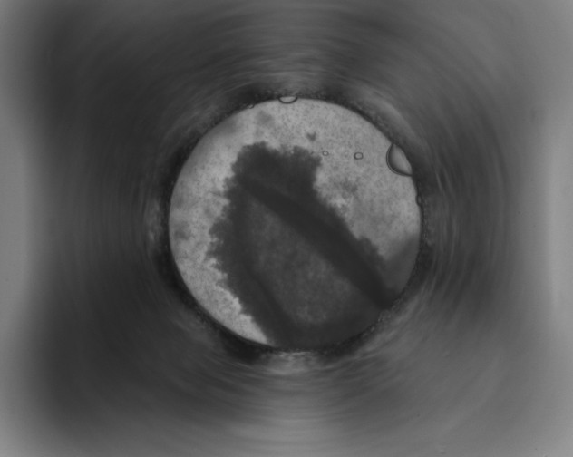 X0000094900077200712271501