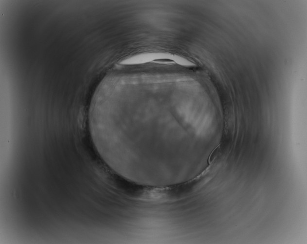 X0000094900078200712271501